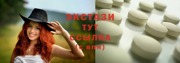 ECSTASY Инсар