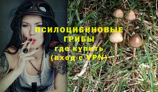 ECSTASY Инсар